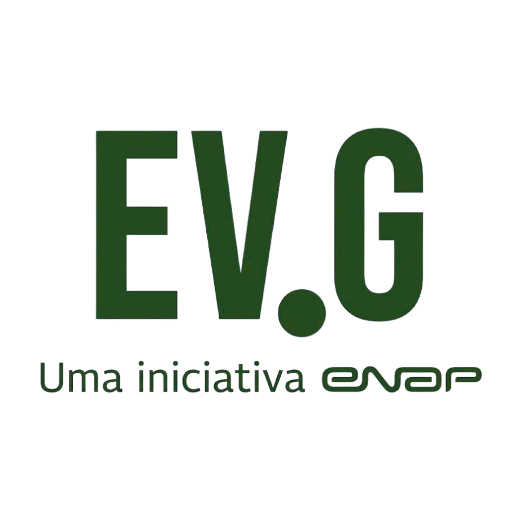 Escola Virtual de Governo