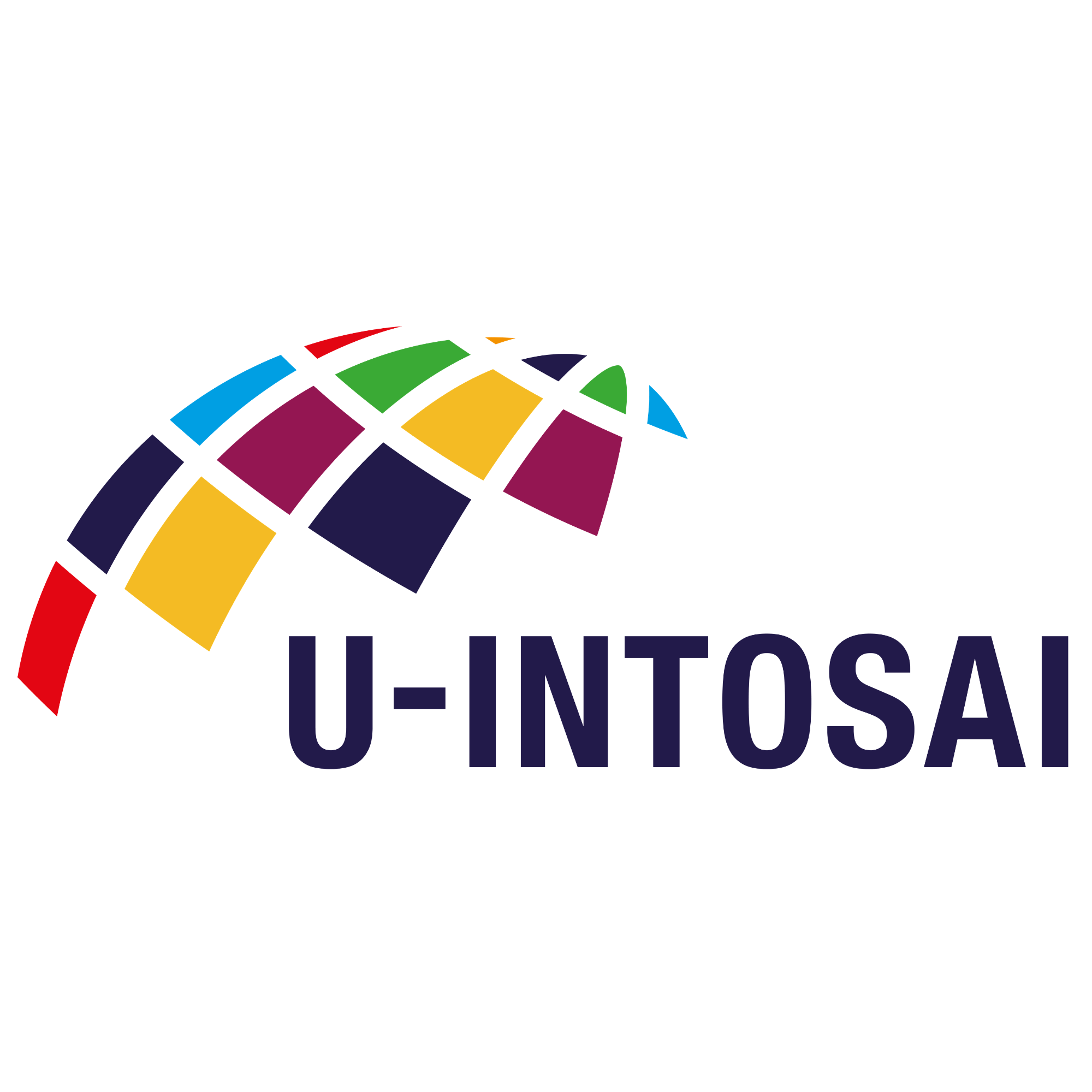 U-INTOSAI